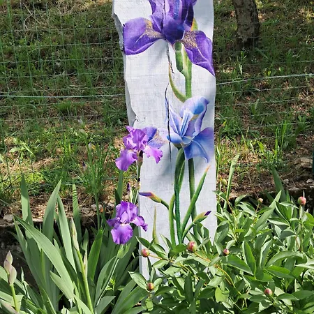 Πανδοχείο Dell Arte 'alberi' Trarego Viggiona