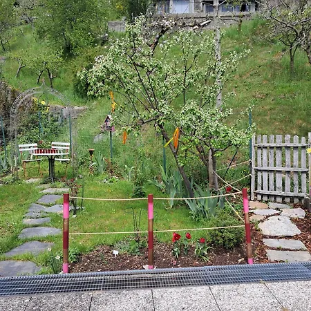Dell Arte 'alberi' Πανδοχείο